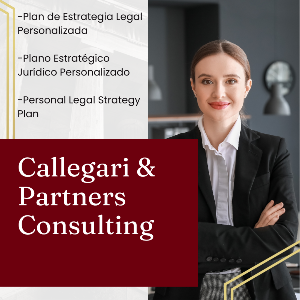 Plan de Estrategia Legal Personalizada-Plano Estratégico Jurídico Personalizado-Personal Legal Strategy Plan